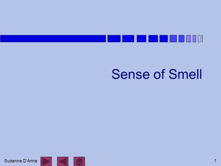 Sense of Smell.