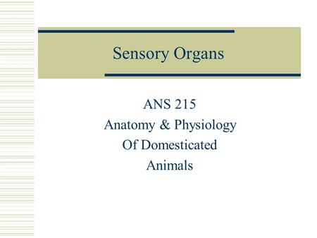 ANS 215 Anatomy & Physiology Of Domesticated Animals