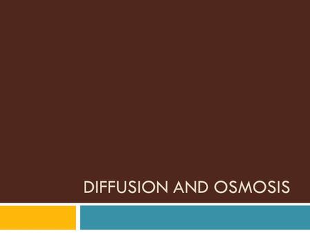 Diffusion and osmosis.