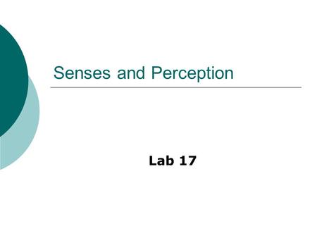 Senses and Perception Lab 17.