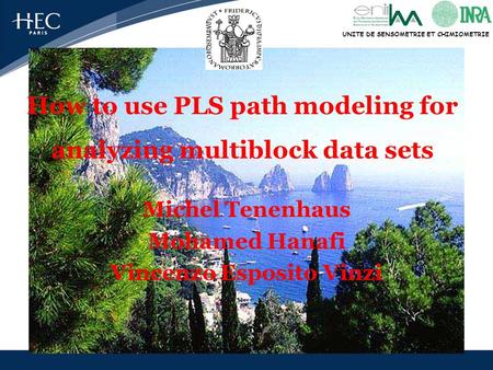 UNITE DE SENSOMETRIE ET CHIMIOMETRIE How to use PLS path modeling for analyzing multiblock data sets Michel Tenenhaus Mohamed Hanafi Vincenzo Esposito.
