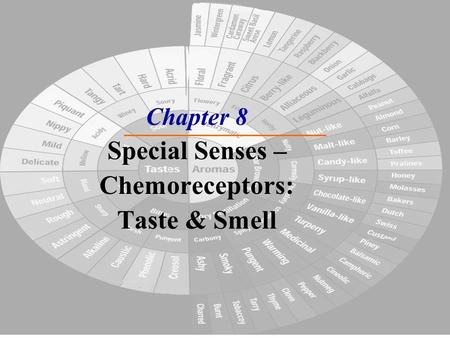 Chapter 8 Special Senses – Chemoreceptors: Taste & Smell.
