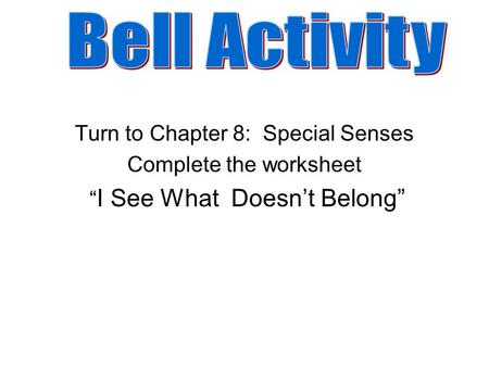 Bell Activity Turn to Chapter 8: Special Senses Complete the worksheet