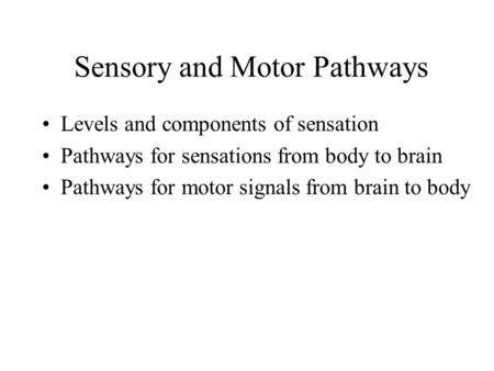 Sensory and Motor Pathways