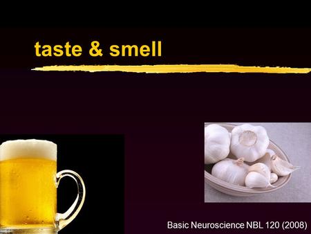 Taste & smell Basic Neuroscience NBL 120 (2008). Gustatory & olfactory systems Extract information from chemicals in the environment G-protein coupled.
