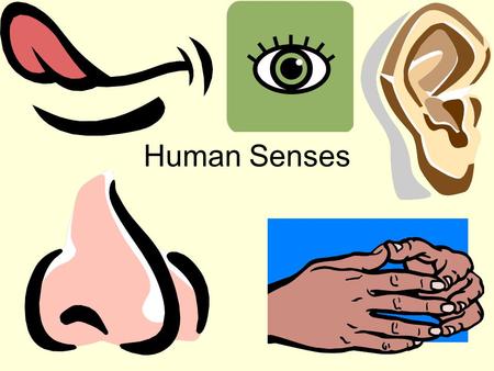 Human Senses.