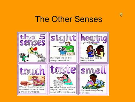 The Other Senses. The other Senses The major sense are seeing & hearing –Without our sense of Touch Taste Smell Body motion & position –Serious handicapped.