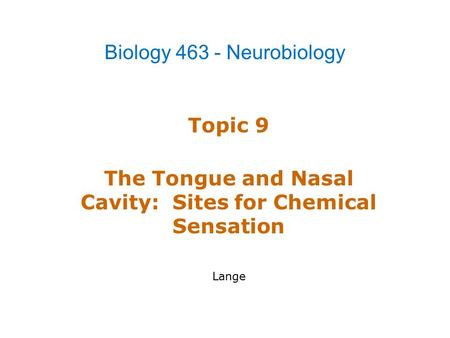 Topic 9 The Tongue and Nasal Cavity: Sites for Chemical Sensation Lange Biology 463 - Neurobiology.