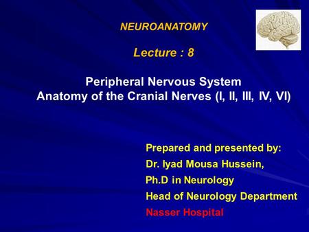 Anatomy of the Cranial Nerves (I, II, III, IV, VI)