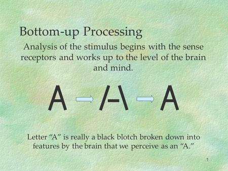 Bottom-up Processing Analysis of the stimulus begins with the sense receptors and works up to the level of the brain and mind. Letter “A” is really a black.
