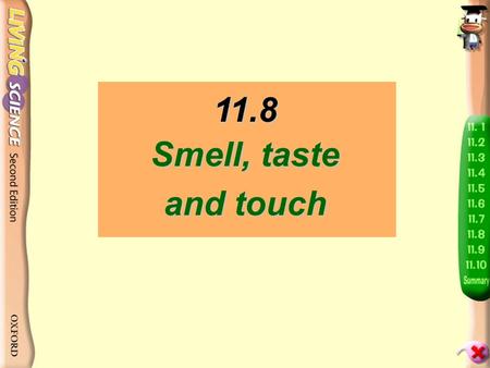 11.8 Smell, taste and touch.