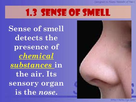 1.3 SENSE OF SMELL Sense of smell detects the presence of chemical substances in the air. Its sensory organ is the nose.