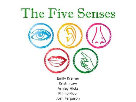 The Five Senses Emily Kremer Kristin Law Ashley Hicks Phillip Floor Josh Ferguson.