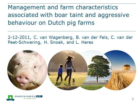 Management and farm characteristics associated with boar taint and aggressive behaviour on Dutch pig farms 2-12-2011, C. van Wagenberg, B. van der Fels,