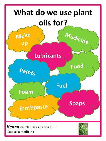 What do we use plant oils for? Make up Food Fuel Medicine Lubricants Paints Foam Toothpaste Soaps Henna which makes henna oil – used as a medicine.