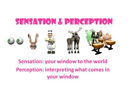 Sensation & Perception Sensation: your window to the world Perception: interpreting what comes in your window.