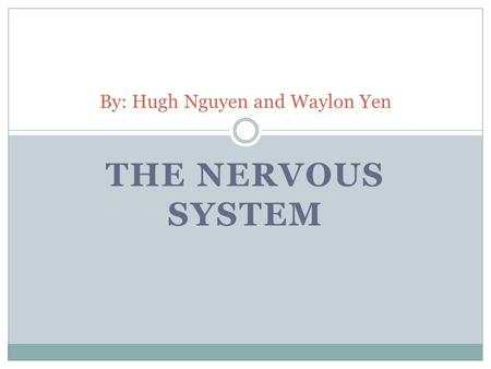 THE NERVOUS SYSTEM By: Hugh Nguyen and Waylon Yen.