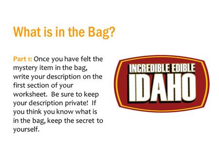 What is in the Bag? Part 1: Once you have felt the mystery item in the bag, write your description on the first section of your worksheet. Be sure to keep.