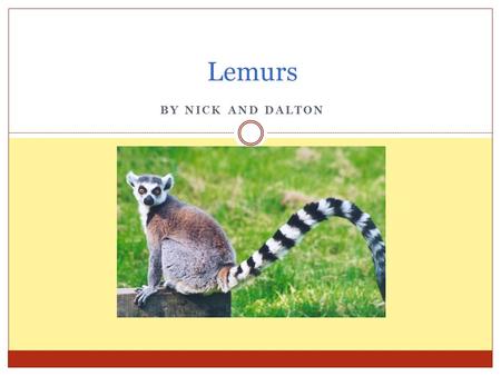 BY NICK AND DALTON Lemurs. Habitat Live on The island of Madagascar of The coast of Africa Forest, from dry wood lands to forest Most spend their time.