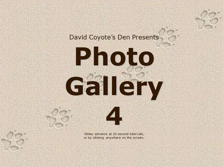 David Coyote’s Den Presents Photo Gallery 4 Slides advance at 20 second intervals, or by clicking anywhere on the screen.