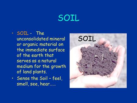 SOIL SOIL - The unconsolidated mineral or organic material on the immediate surface of the earth that serves as a natural medium for the growth of land.