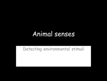 Animal senses Detecting environmental stimuli. Enormous diversity in structures and in the role of vision in animals’ perception, behavior, and interactions.