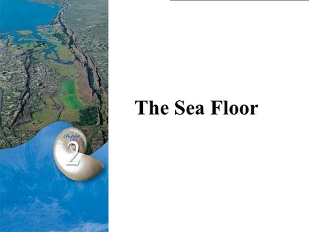The Sea Floor. Q: Of the Norhern and Southern Hemisphere, which one contains the most water??Q: Of the Norhern and Southern Hemisphere, which one contains.
