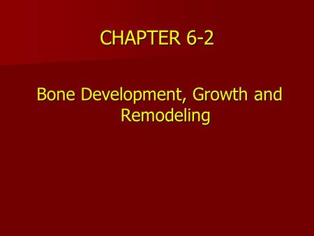 Bone Development, Growth and Remodeling