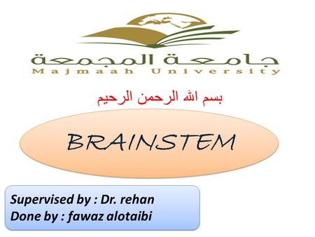 BRAINSTEM بسم الله الرحمن الرحيم Supervised by : Dr. rehan