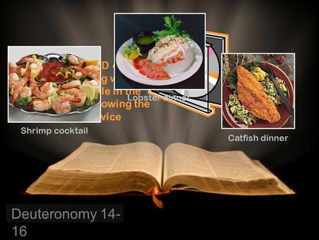 A free CD of this teaching will be available in the foyer following the service Catfish dinner Shrimp cocktail Lobster dinner Deuteronomy 14- 16.