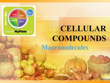 CELLULAR COMPOUNDS Macromolecules.