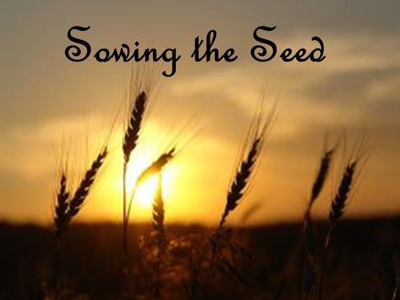 Sowing the Seed.