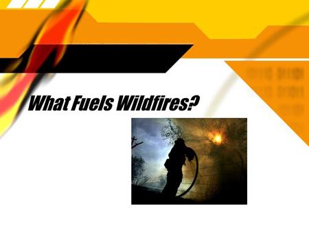 What Fuels Wildfires?. What fuels So Cal wildfires?