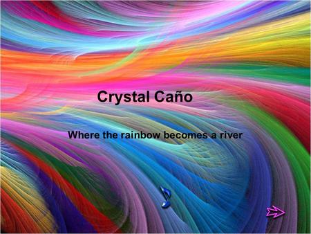 (REFLEXIONES) Where the rainbow becomes a river Crystal Caño.