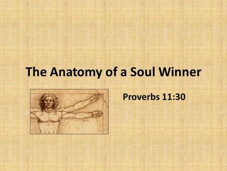 The Anatomy of a Soul Winner Proverbs 11:30. The Anatomy of a Soul Winner 1.A Mind That Understands – The Value of the Soul – The Plight of the Sinner.