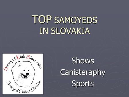 TOP SAMOYEDS IN SLOVAKIA ShowsCanisteraphySports.