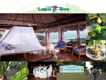 Osa Pensinsula, Costa Rica Lapa Rios - An “Upscale” Ecolodge 1,000 Acre Private Rainforest Nature Reserve. 16 private rainforest bungalows. Yoga deck.