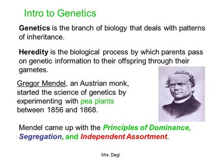 Intro to Genetics Genetics is the branch of biology that deals with patterns of inheritance. Heredity is the biological process by which parents pass on.