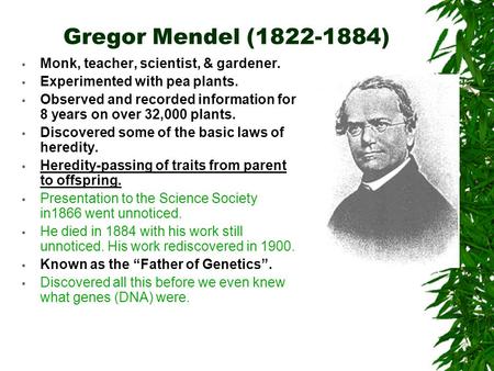 Gregor Mendel (1822-1884)  Monk, teacher, scientist, & gardener.  Experimented with pea plants.  Observed and recorded information for 8 years on over.