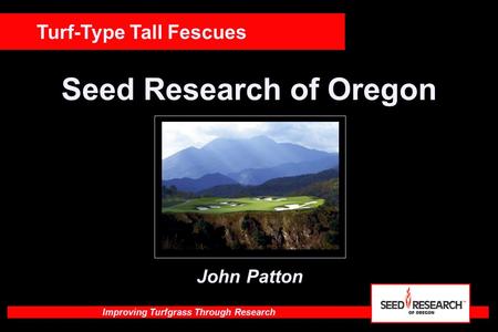 Improving Turfgrass Through Research Seed Research of Oregon Turf-Type Tall Fescues John Patton.