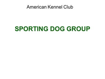 SPORTING DOG GROUP American Kennel Club. Brittany Sporting Group; AKC recognized in 1934. Average size: 30 to 40 pounds and 17 ½ to 20 ½ inches at the.