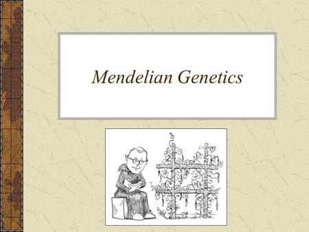 Mendelian Genetics. Mendel & His Pea Plants Genetics – the study of heredity Heredity – how traits are passed from parent to offspring A man by the name.