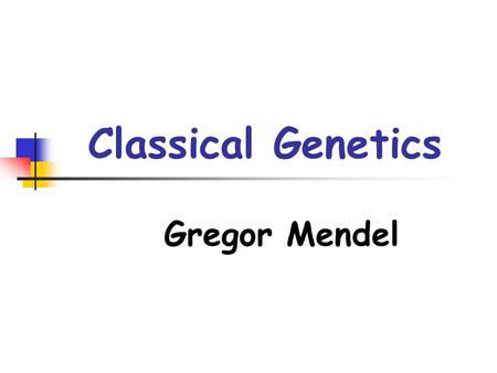 Classical Genetics Gregor Mendel.