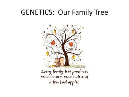 GENETICS: Our Family Tree It’s all Relative! --Did you know we share 99.9% of our genes with other humans? --95% of our genes with chimpanzees? --92%