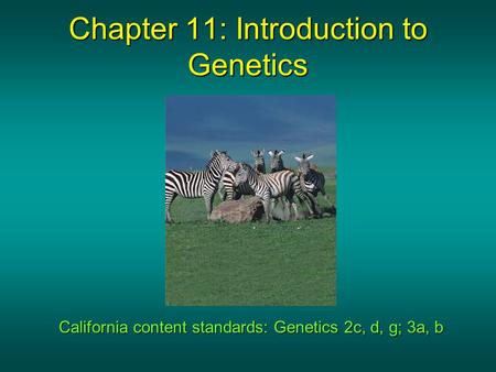 Chapter 11: Introduction to Genetics California content standards: Genetics 2c, d, g; 3a, b.