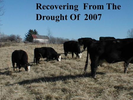 Recovering From The Drought Of 2007. How Would You Rate Your 2007 Forage Management Performance 1,2 or 3 Did your management decisions for 2007 weaken.