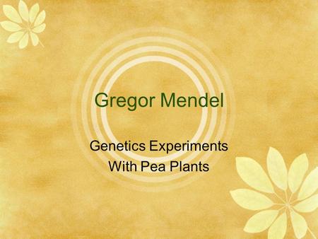 Genetics Experiments With Pea Plants