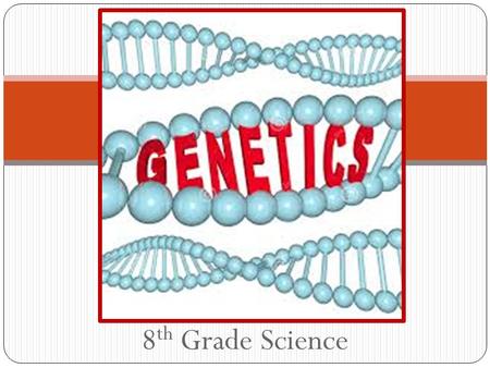 8 th Grade Science Genetics DNA A = Adenine T = Thymine C = Cytosine G = Guanine.