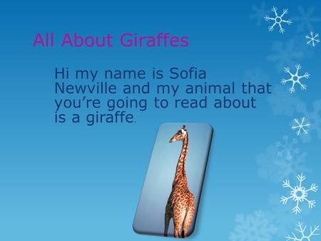 All About Giraffes Hi my name is Sofia Newville and my animal that you’re going to read about is a giraffe.