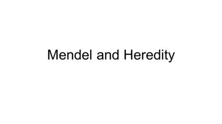 Mendel and Heredity. Father of genetics: Mendel Choose to use pea plants: 1.Two clearly different forms (traits) 2.Male and female parts of the plant.
